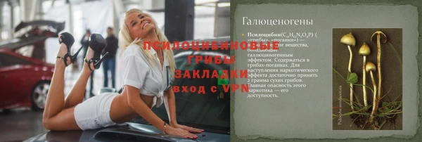дживик Протвино