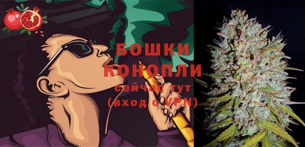 шишки Пролетарск