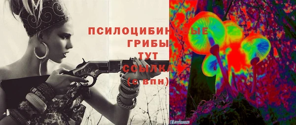 шишки Пролетарск