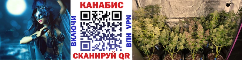 Каннабис план  Талица 